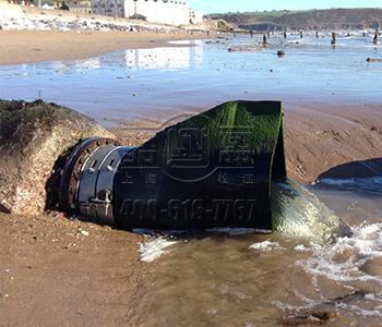 浙江省溫州洞頭縣鴨嘴閥案例